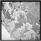 1952 photo